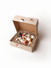 Load image into Gallery viewer, Moon Picnic - Forest Mushrooms In a box