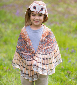 Barn Owl Hooded Owl Wings