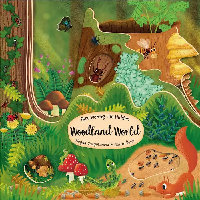 Wellspring - Board Book - Woodland World